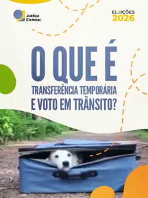 Entenda a transferência temporária de seção eleitoral e o voto em trânsito