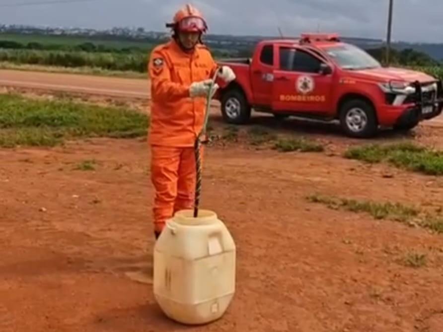 Bombeiros realizam resgate de cobra caninana em indústria de Campo Verde