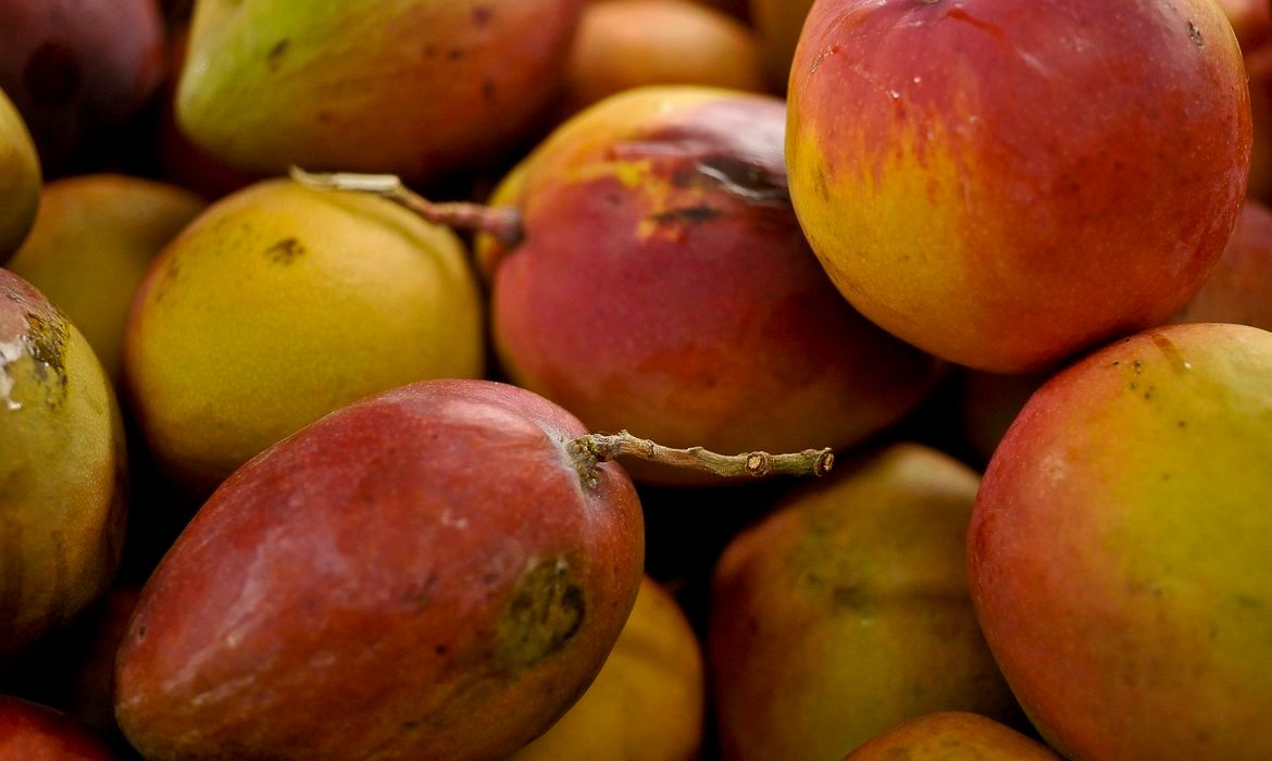 Abrafrutas Apoia Plano de Socorro, Mas Alerta para Pequenos Produtores Atingidos pelo Tarifaço