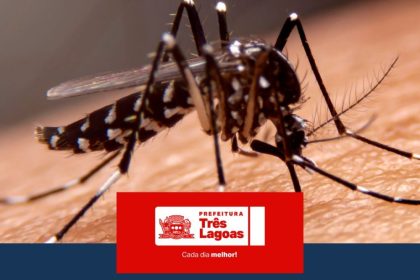 Prefeitura de Três Lagoas divulga novos dados sobre dengue e leishmaniose