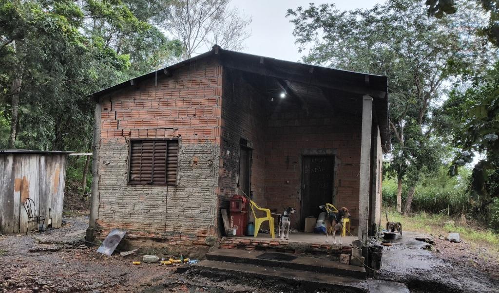 Homem é identificado por abusos e maus-tratos contra cão em Mato Grosso