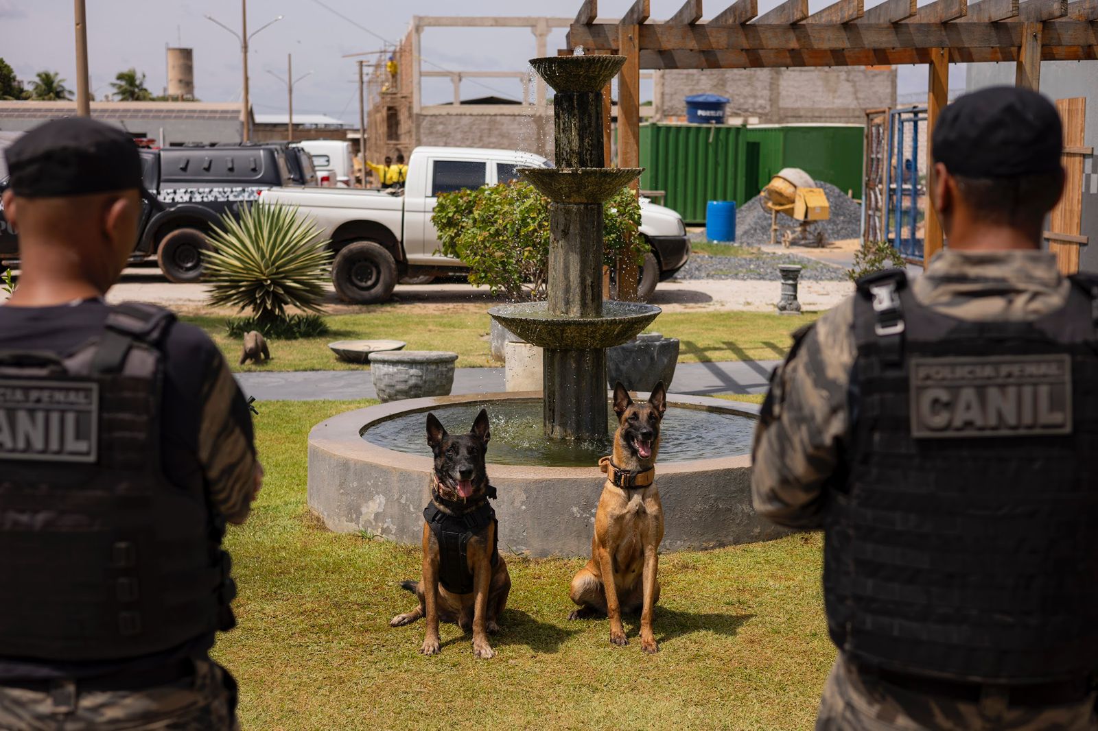 Torneio reúne equipes caninas das forças de segurança em Cuiabá