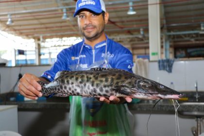 Feira do Peixe de Três Lagoas promete superar 30 toneladas vendidas