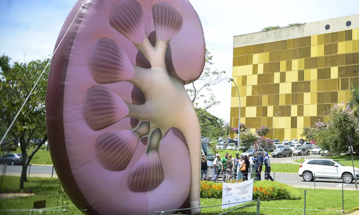 Dia Mundial do Rim: Doença renal é prioridade global e exige atenção